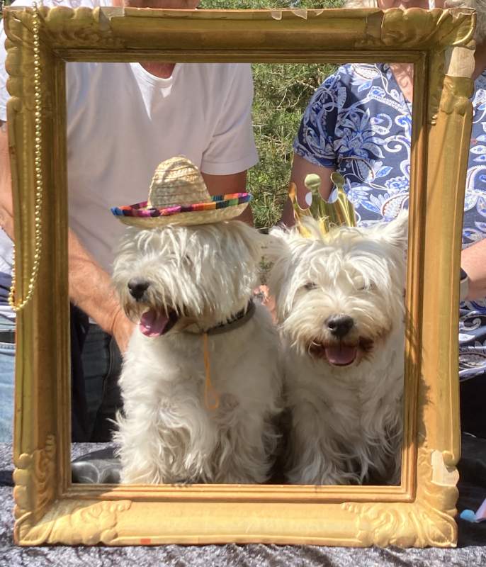 2024-05/dustin-och-bugg2